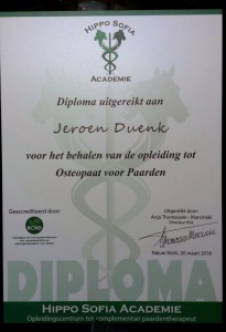 Diploma uitreiking 2