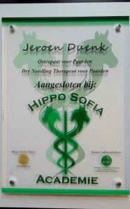 Diploma uitreiking 3